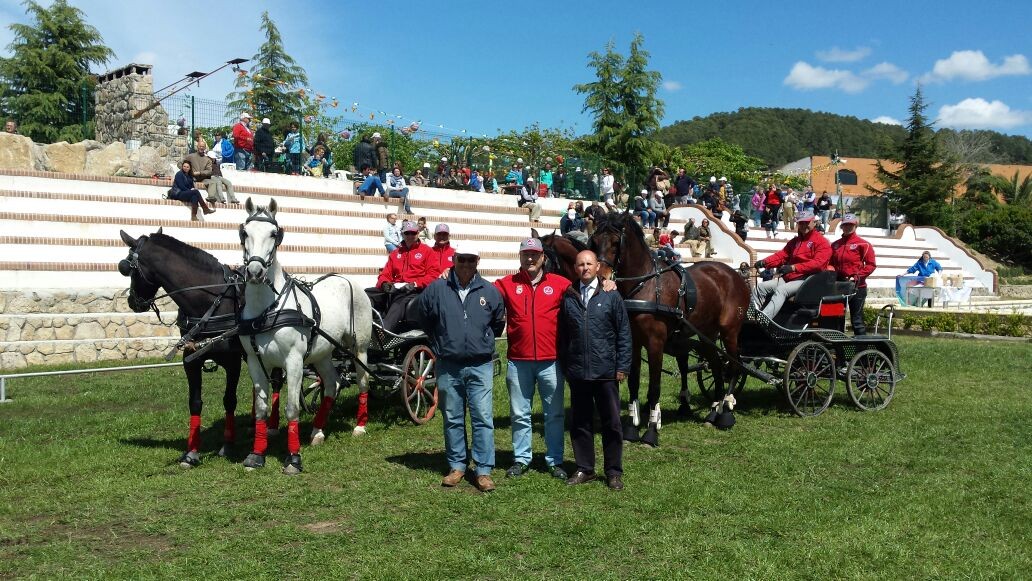 El equipo navarro de enganches destacó en el concurso Indoor finca el Quemado en Arenas de San Pedro (Ávila)